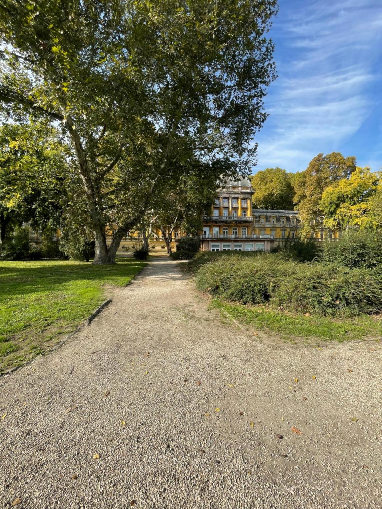 Margaret Apartment Next To The Lukacs Spa With Panorama Danube Budapest Exterior photo